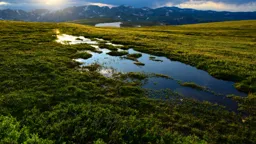Sunset on Beartooth Pass