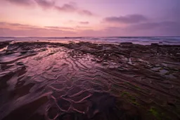 La Jolla Tidepools
