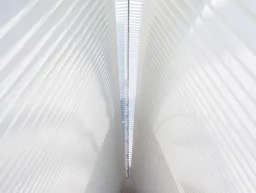 Oculus