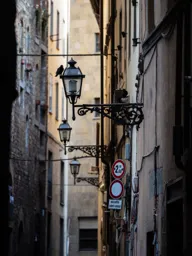 Florentine Bird