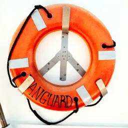 Life Preserver