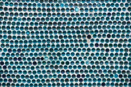 The Bottle House