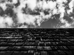 Shingles
