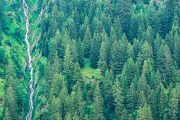 Green Mountainside
