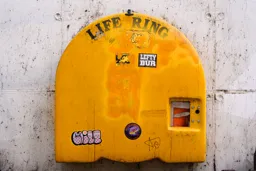 Life RIng