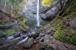 Lower Latourell Falls