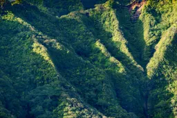 Late Afternoon Sun on Hawaiian Mountains