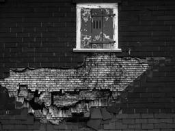 Decay