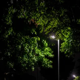 Streetlamp, North Park