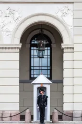 Standing Guard