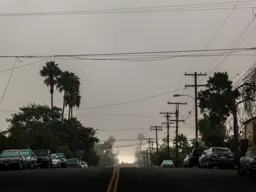 Foggy Morning, University Heights
