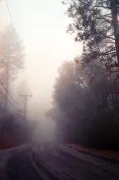 Foggy Morning in Idyllwild
