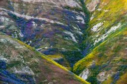 Hills of Gold and Blue II