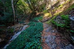 Santa Anita Canyon