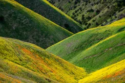 Carrizo Plain I