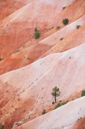 Canyon Colors II