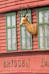 Bryggen Handel