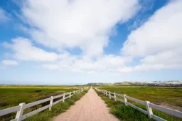 A Lonely Walk