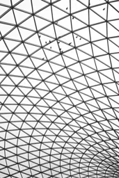 British Museum Birds