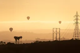 Sunset Flight