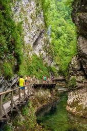 A Walk Through Vintgar Gorge